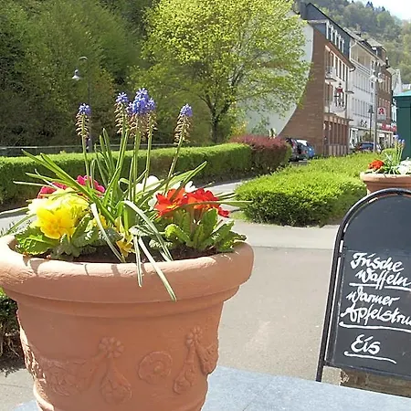 Gaestehaus Viktoria Bad Bertrich