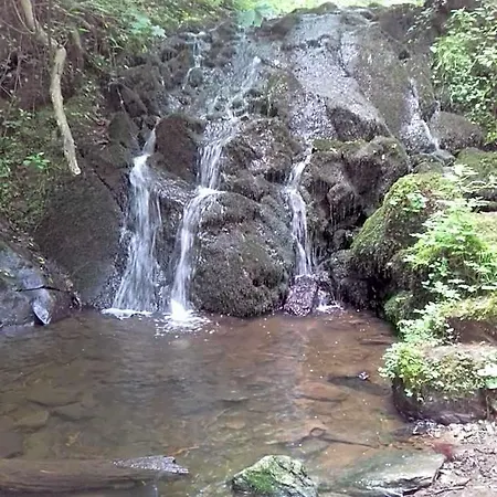 Πανδοχείο Gaestehaus Viktoria Bad Bertrich