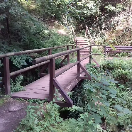 Gaestehaus Viktoria אורחן באד ברטריך