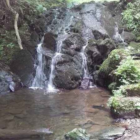 Gaestehaus Viktoria Πανδοχείο 3*