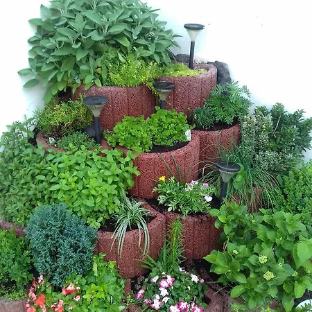 Inn Gaestehaus Viktoria