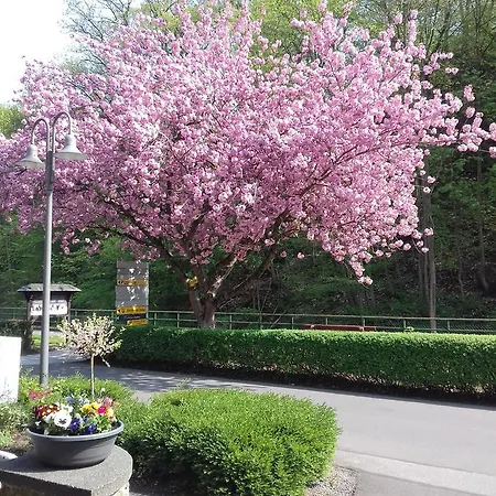 Inn Gaestehaus Viktoria 3*