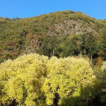 אורחן Gaestehaus Viktoria באד ברטריך