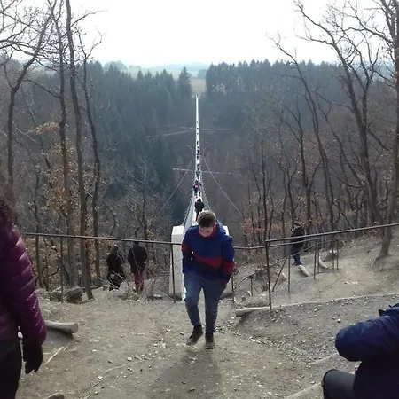 Gaestehaus Viktoria 3*