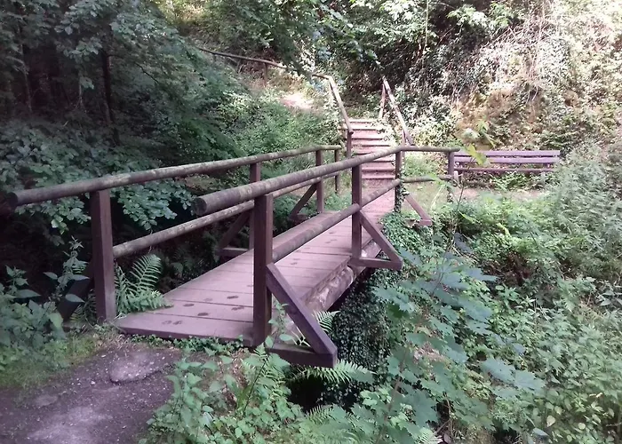 Gaestehaus Viktoria אורחן באד ברטריך