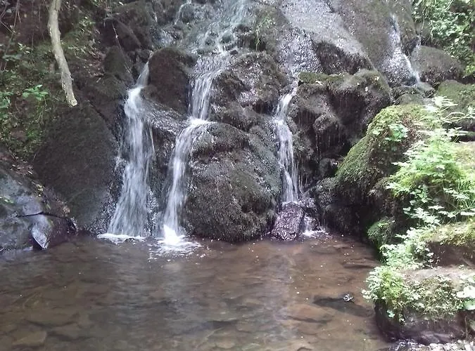 Gaestehaus Viktoria 여관 3*