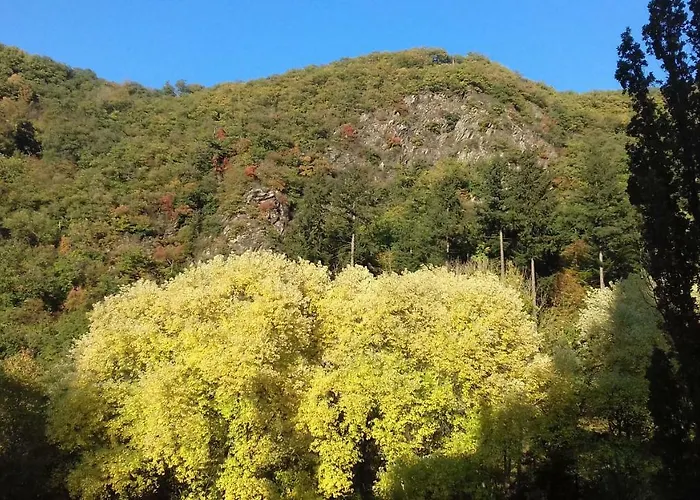 여관 Gaestehaus Viktoria 바트베르트리흐